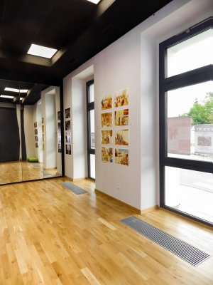 Grzejnik (zestaw) kanałowy TRIOVENT 80 z wentylatorem 24 V 80/250/300/1000 Regulus CVTV0810024